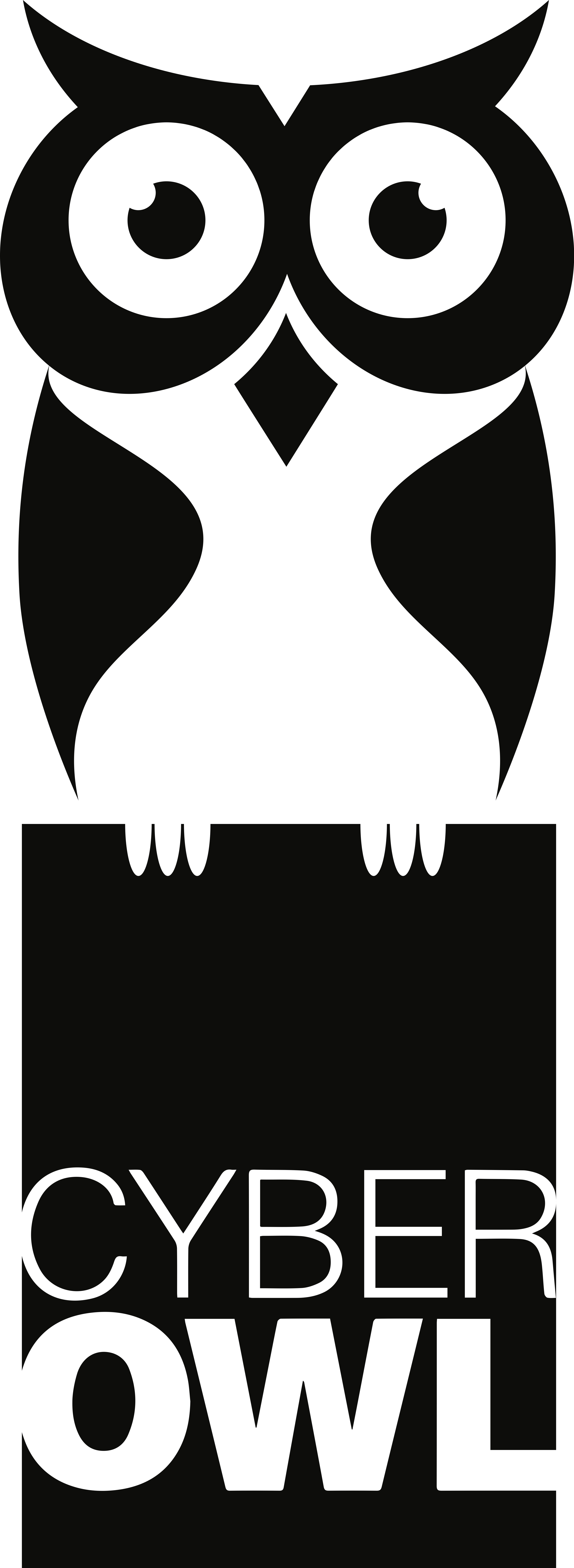 CyberOwl