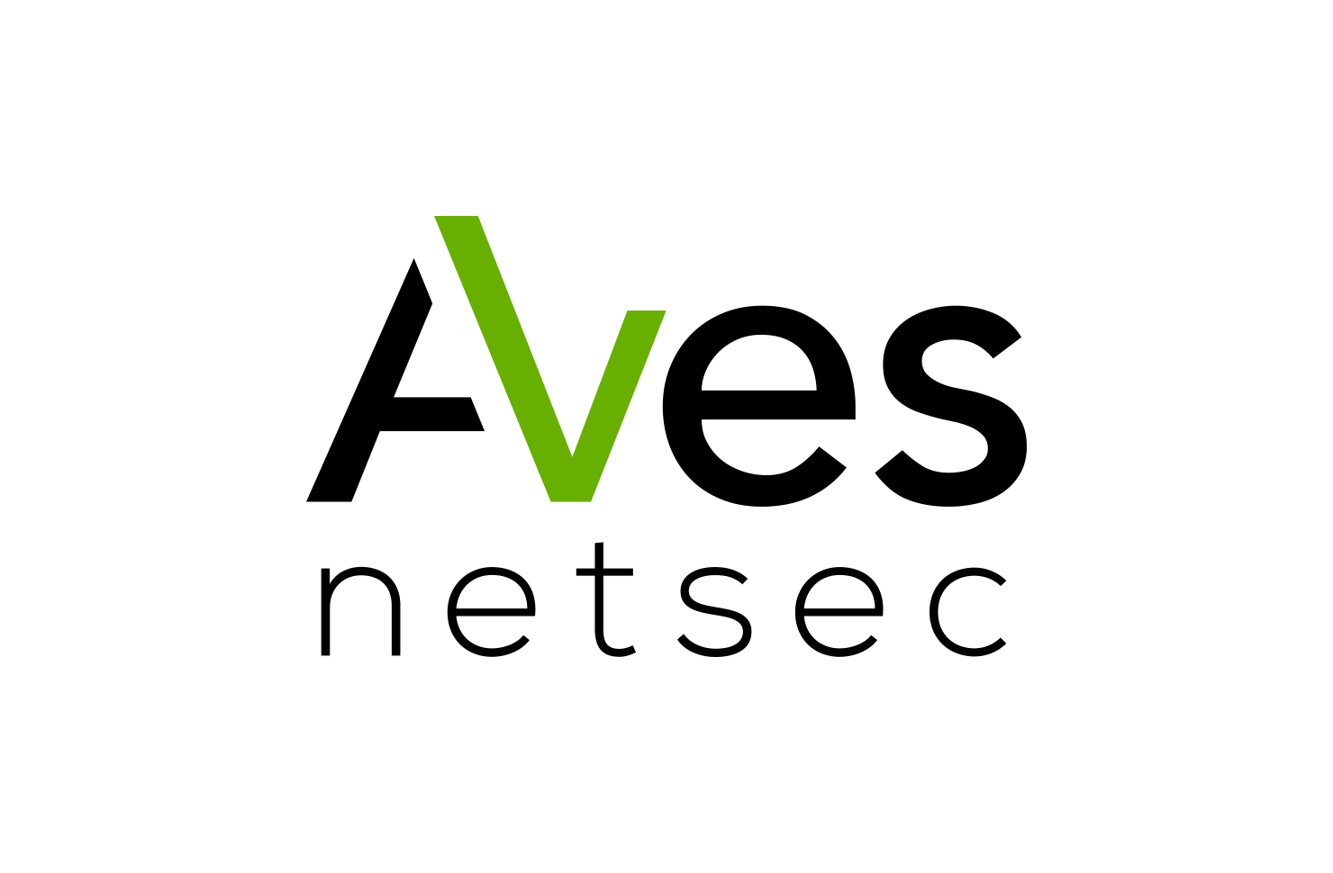 Aves Netsec