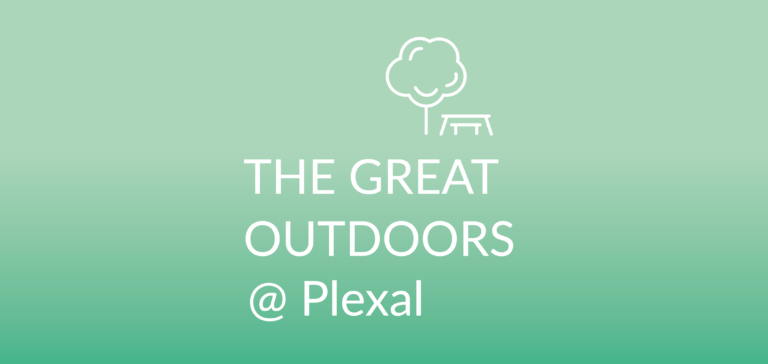 The Great Outdoors: picnic in the park